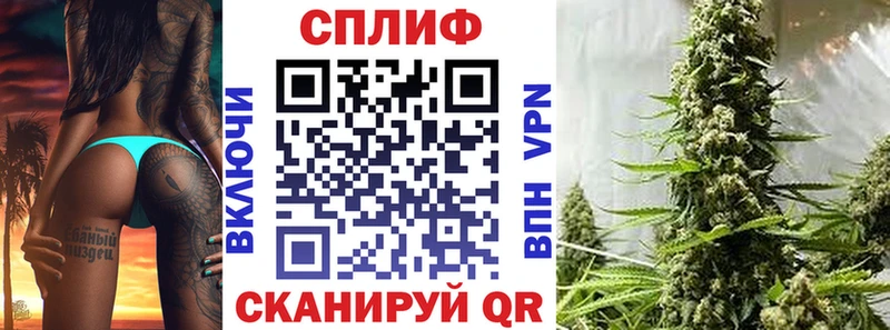 где найти   Бузулук  Каннабис VHQ 